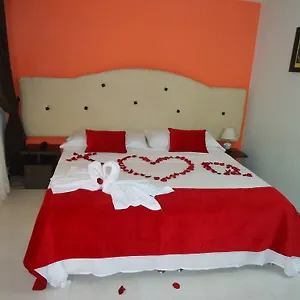 book here